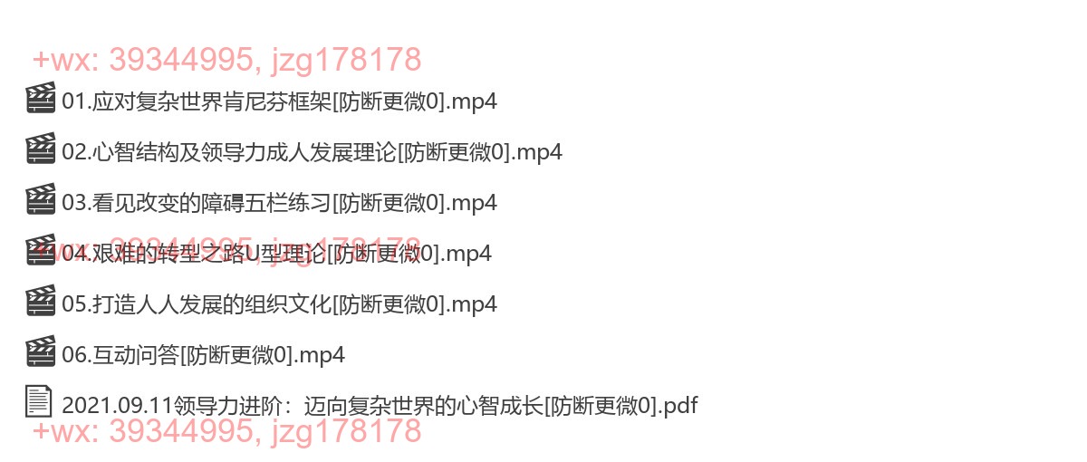 2021.09.11 领导力进阶：迈向复杂世界的心智成长 screenshot