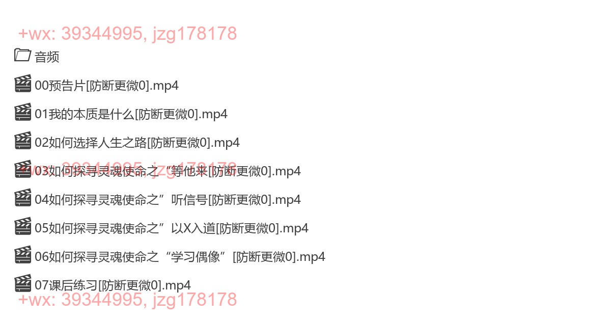0312李善友-使命召唤：寻找人生的意义 screenshot