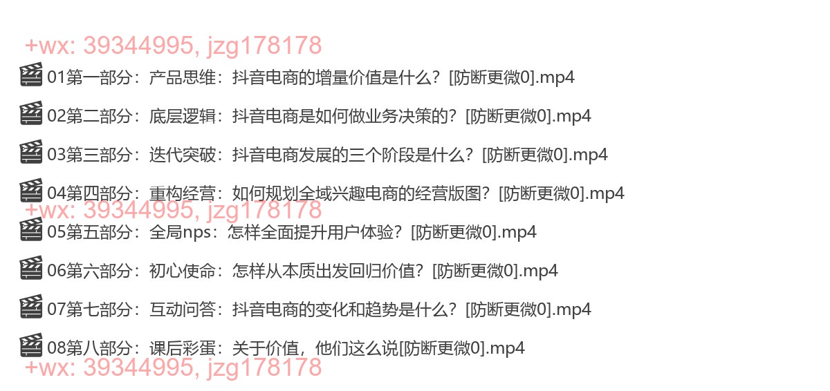 2022-08-28抖音电商的底层逻辑：如何围绕增量价值做经营·魏雯雯  抖音电商总裁 screenshot