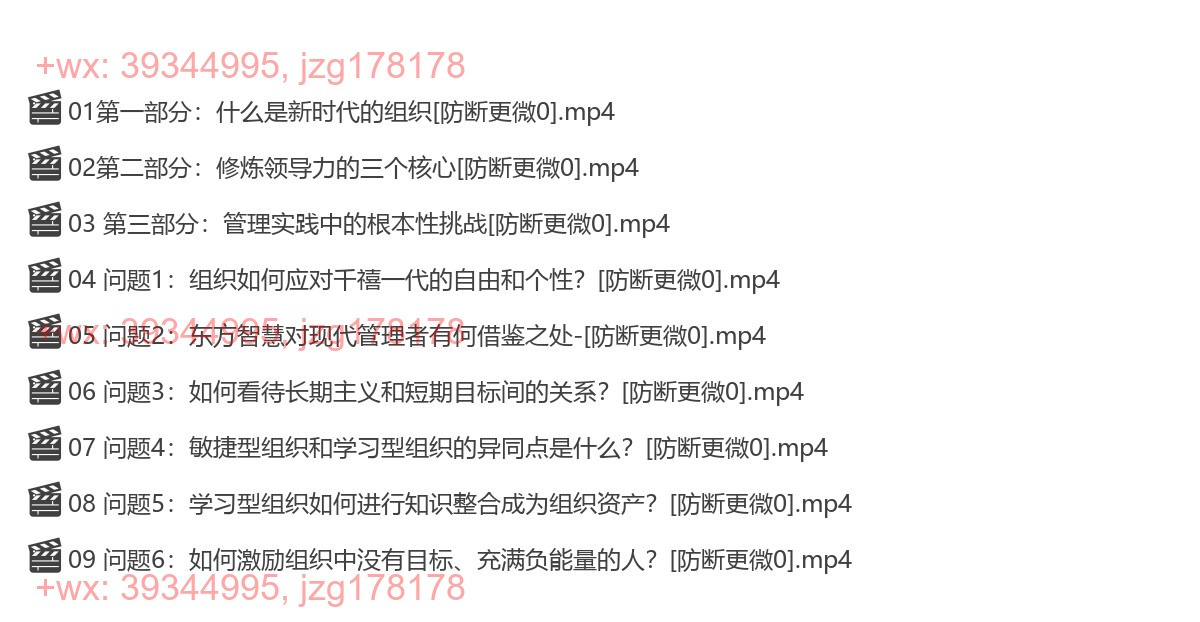 2022-12-10彼得·圣吉·如何提升核心领导力，打造美好组织 screenshot