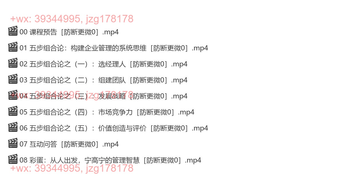 0826 五步组合论：更适合中国商业的管理方法论 screenshot