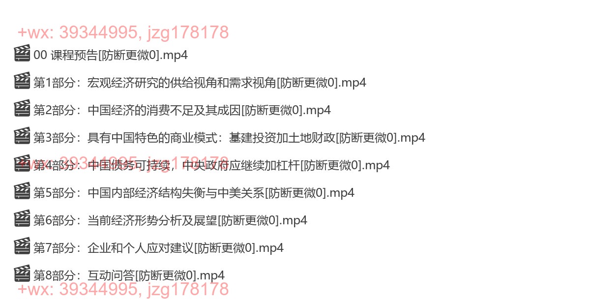 1111中国经济的理解框架及当前形势分析 screenshot