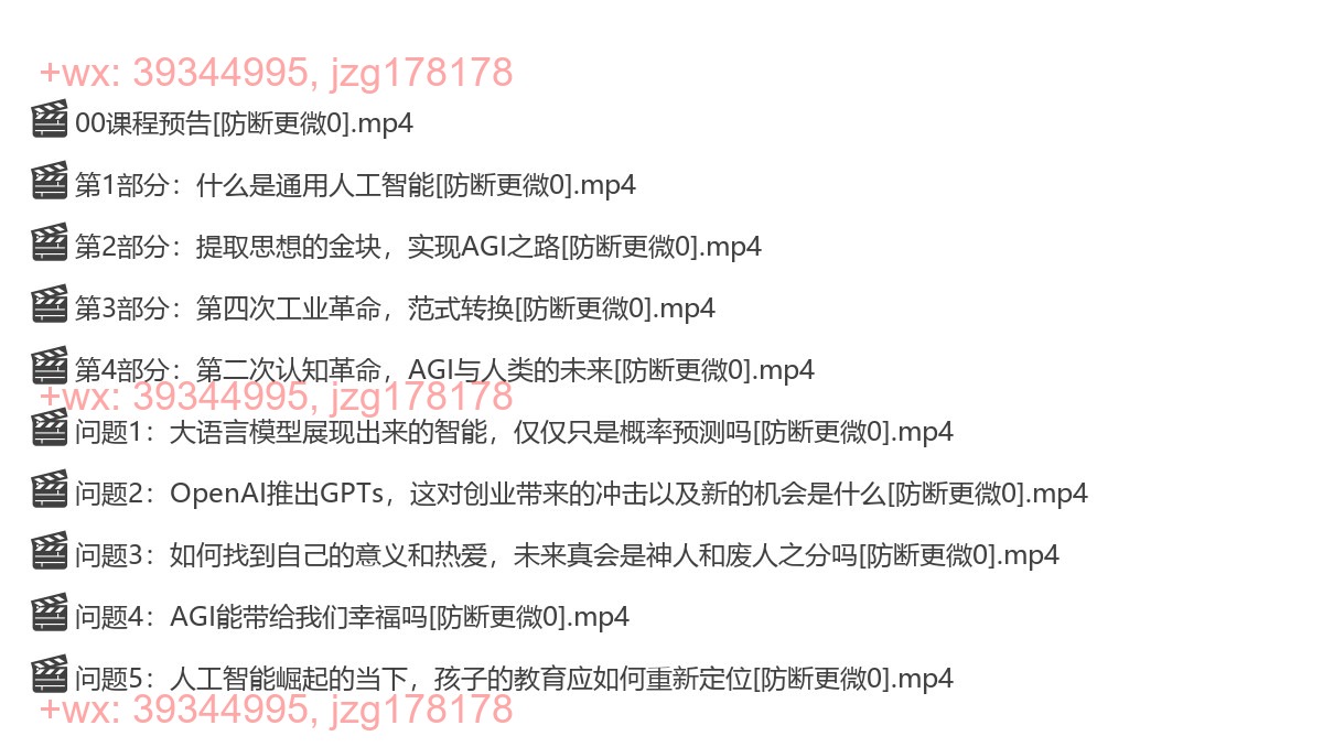 1125ChatGPT 通用人工智能，范式转换与人类未来 screenshot