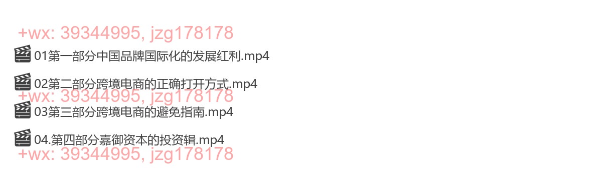 0330《价值100亿的跨境电商操作手册 中国品牌国示化的关键解码》 screenshot