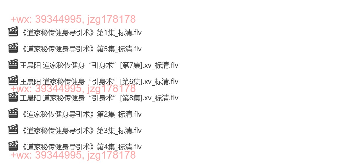 D2202-10 道家秘传健身导引术 screenshot
