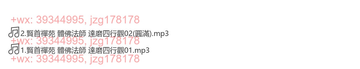賢首禪苑 體佛法師 達磨四行觀MP3 screenshot