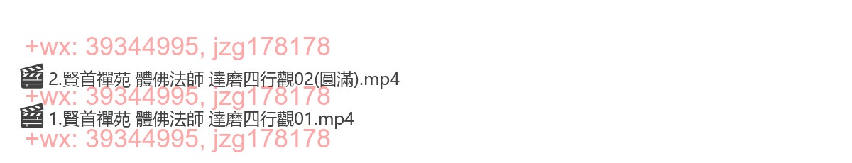 10陈国恩《达摩四行观》2集 screenshot
