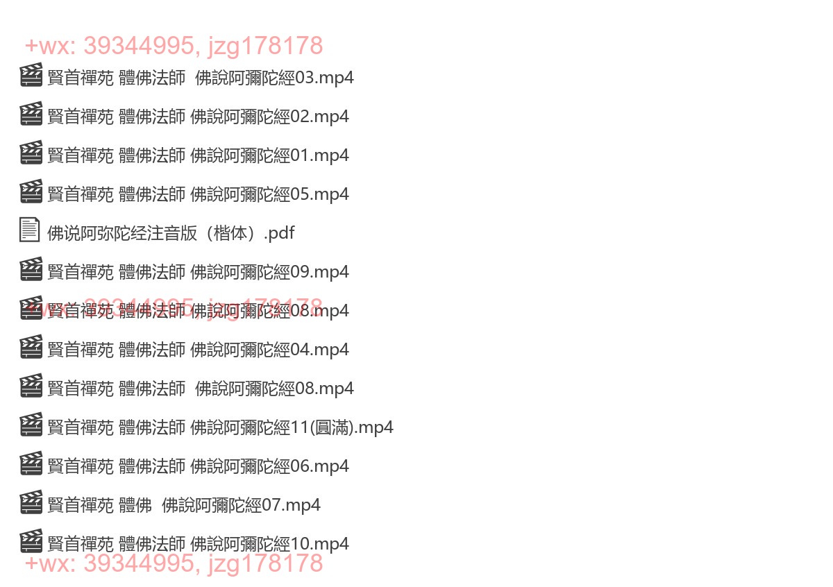 08陈国恩《佛说阿弥陀经》11集 screenshot