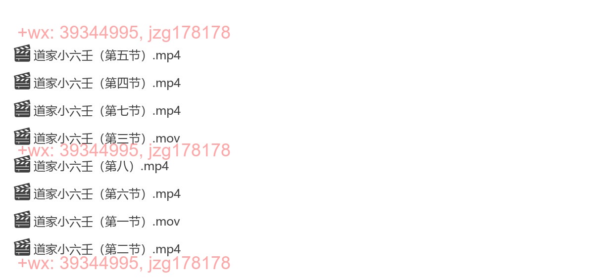 弓博云道家小六壬视频 screenshot