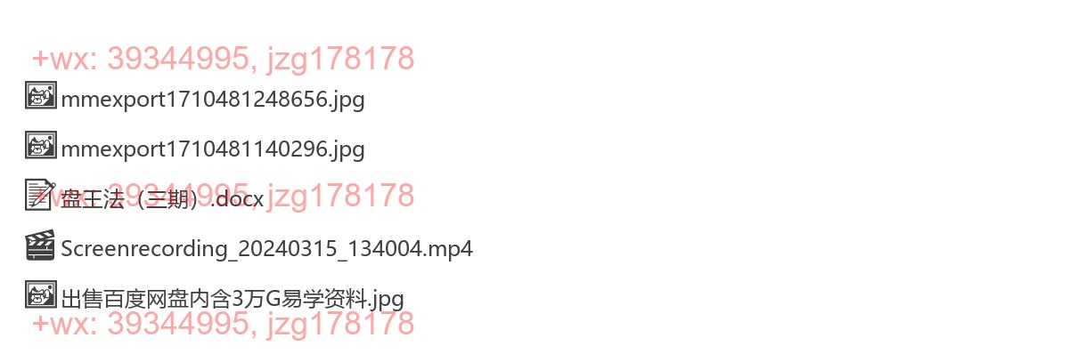 Y2501-96 松韵道人 盘王法三期 视频+文档 screenshot