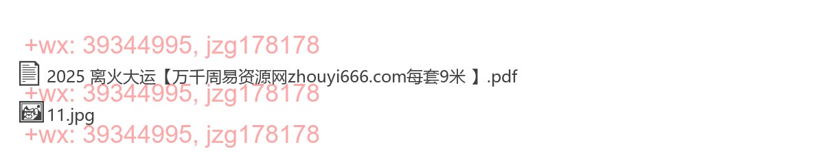 25.2025年离火大运PDF文档146页Y screenshot