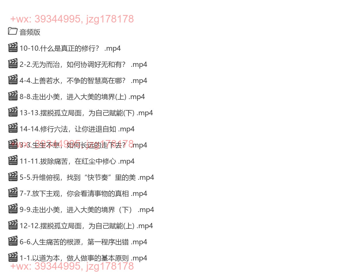 21 齐善鸿 12堂道德经，从0到1搭建“完美人生” 14节 视频+音频 screenshot