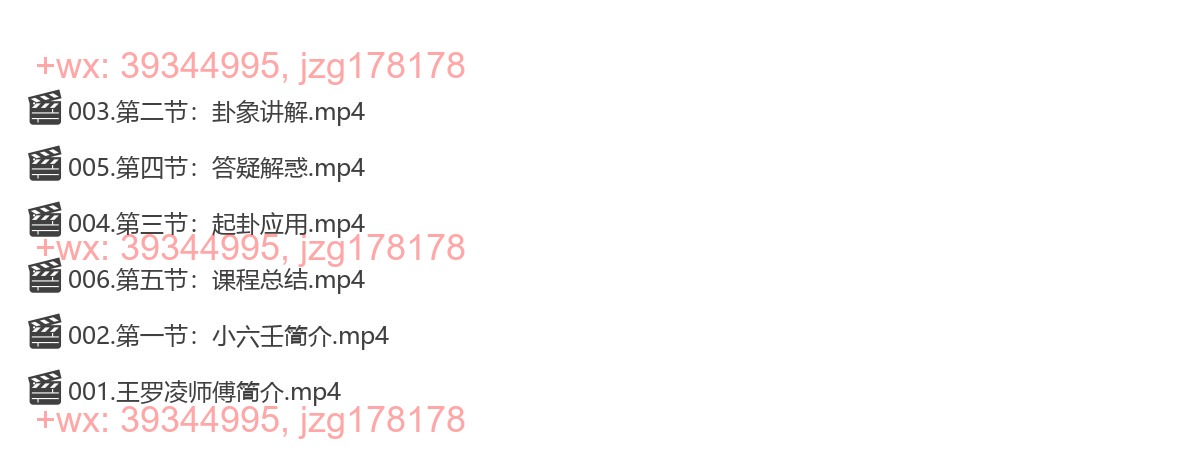 15 王罗凌小六壬讲座 6集 screenshot