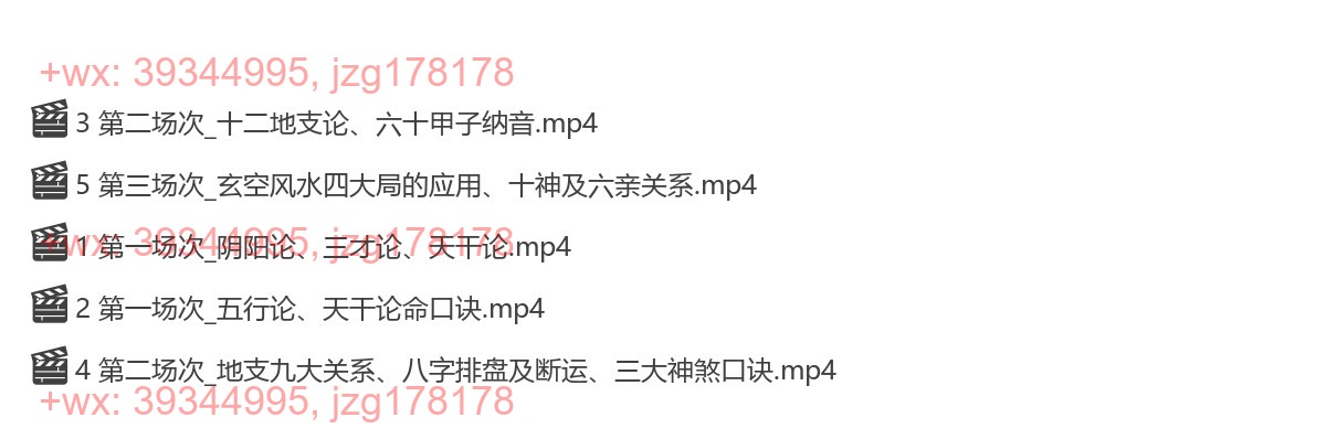 42 程传明 铁口断八字高级班5集 screenshot