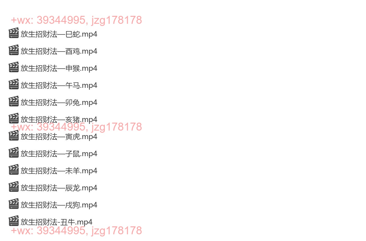 13 鬼谷放生招财法12集 screenshot