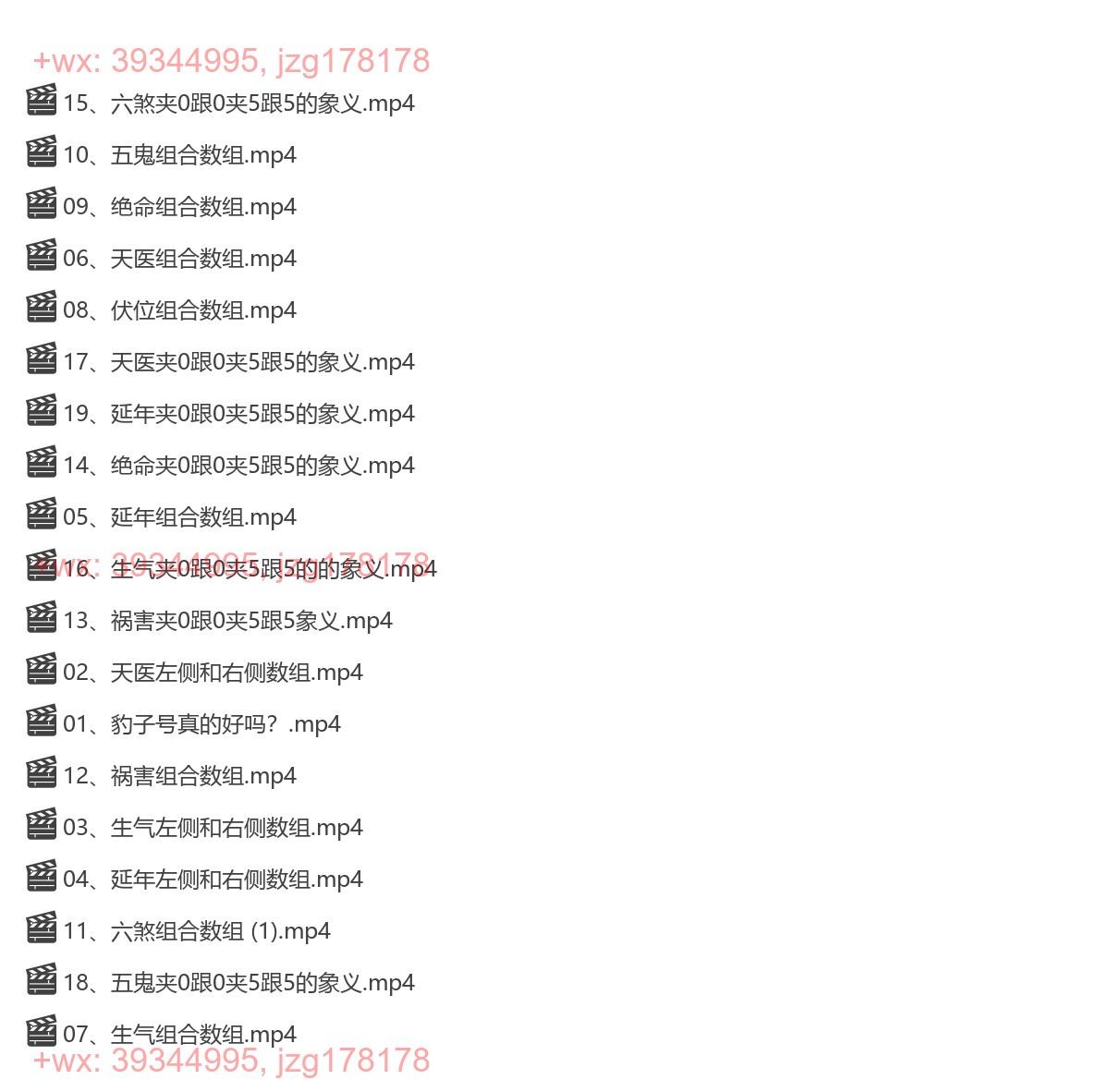 Y2306-10 合道添成忆数 手机号精华课数字组合秘籍19集 screenshot