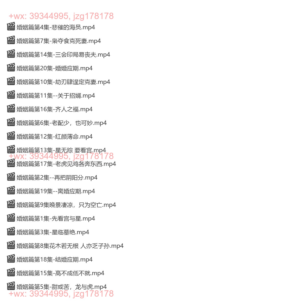 Y2305-10 郝传明（山西盲派丰道人）婚姻篇 20集 screenshot