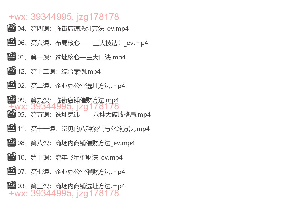 Y2305-46 雯婷《商业财富风水课程》12集 screenshot