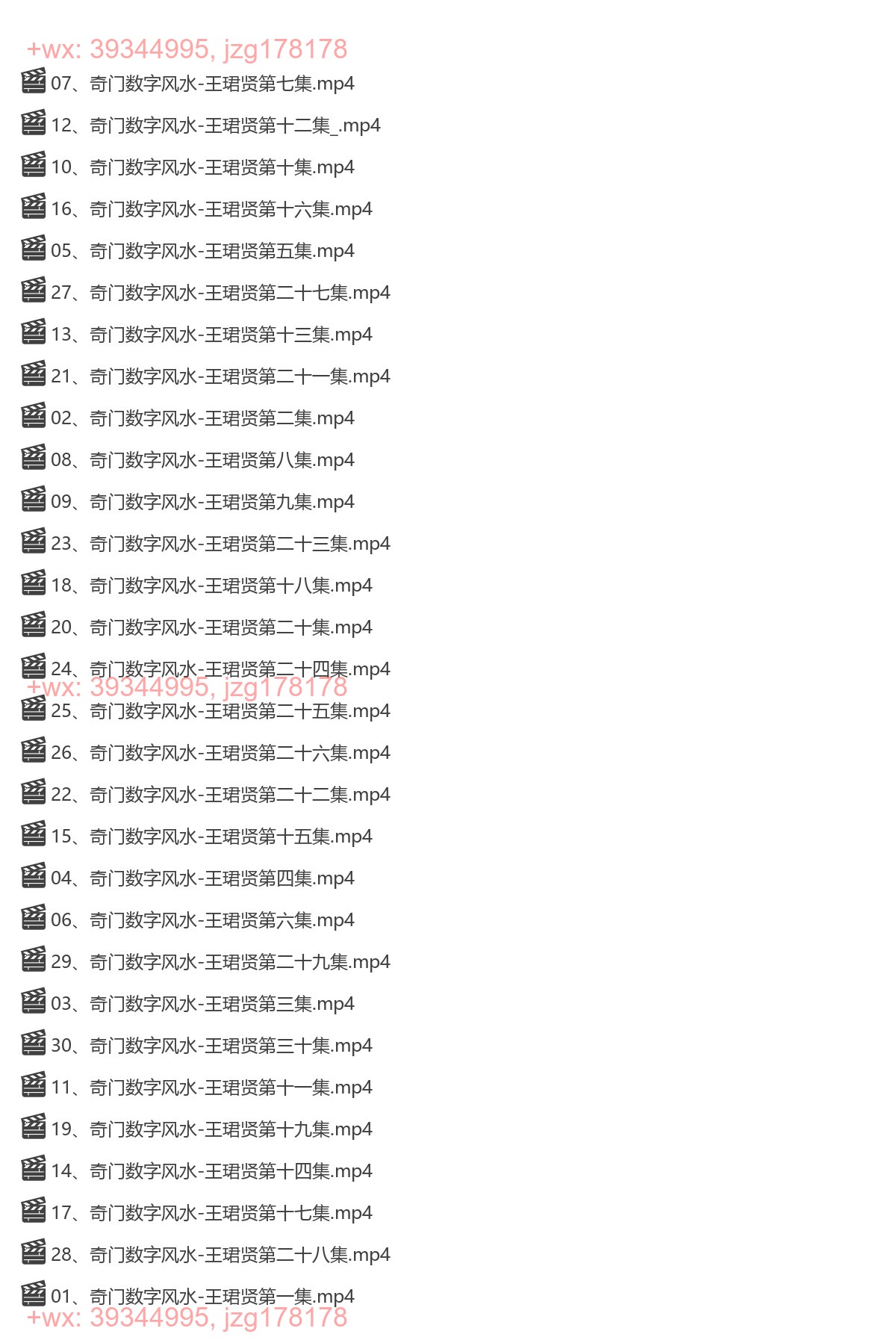 《奇门数字能量学》30集 screenshot