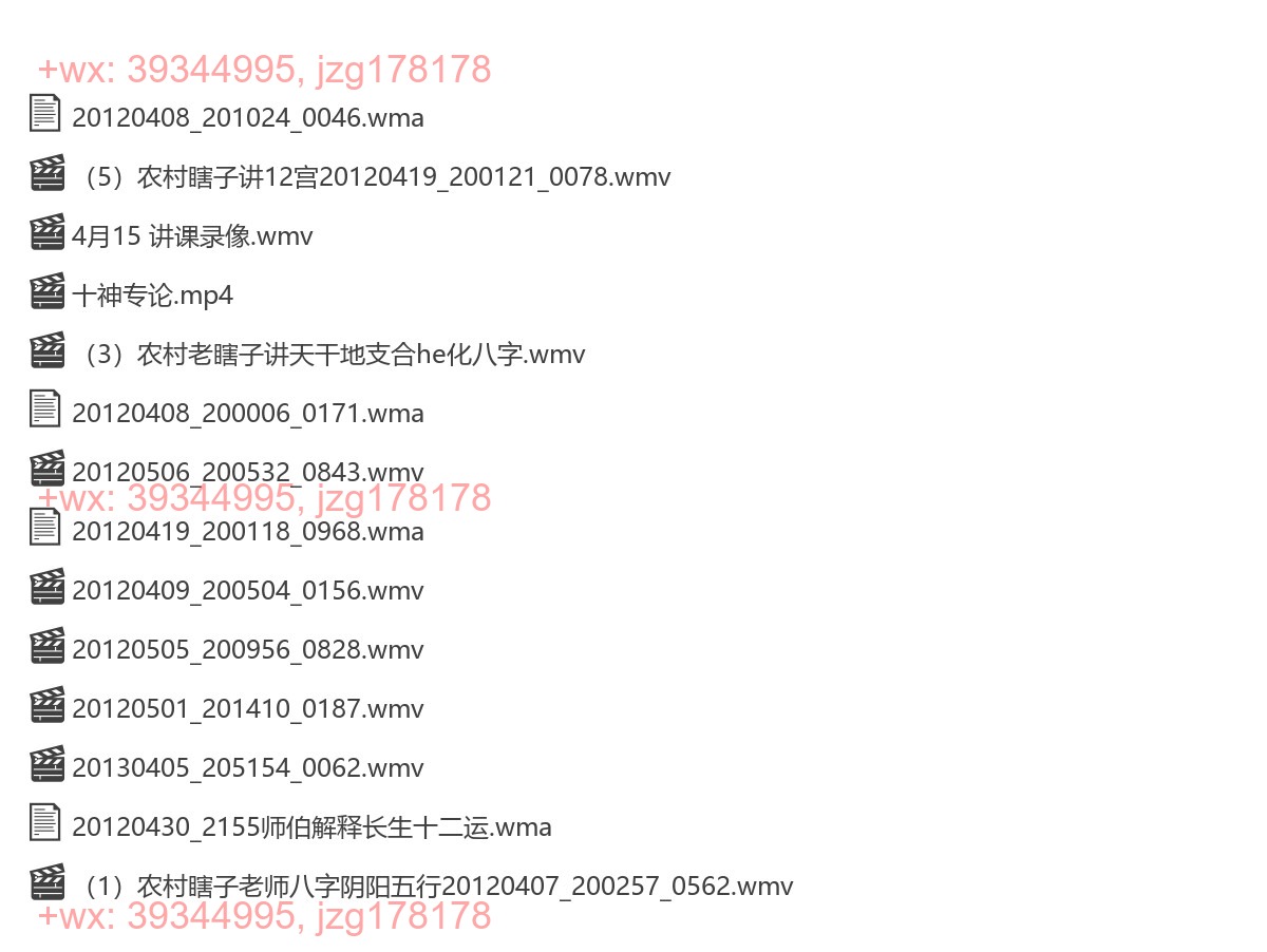 老瞎子八字课录音 screenshot