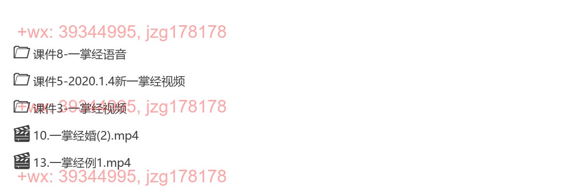 Y2304-63 张氏一掌经视频录音集合 screenshot