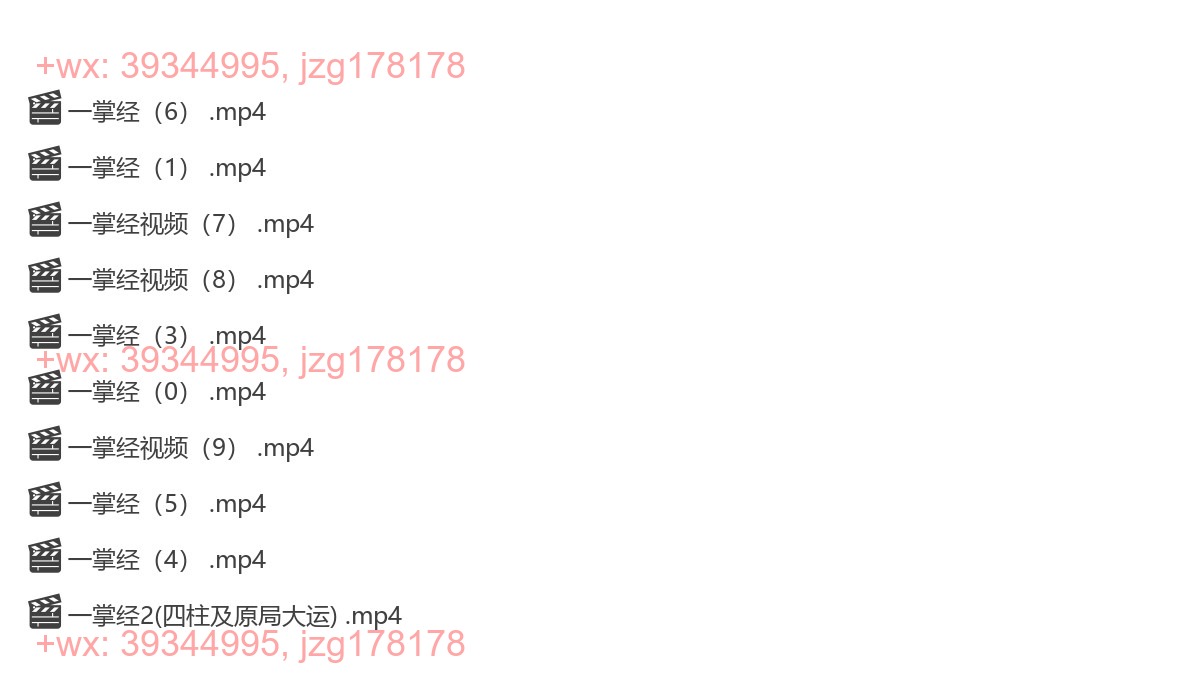 一掌经视频1 screenshot