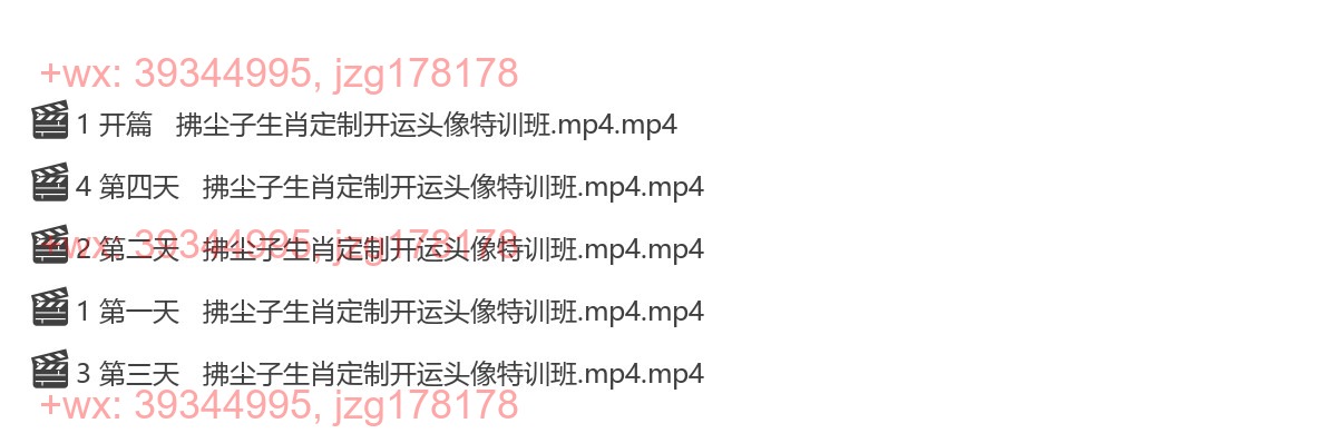 Y2304-70 拂尘子生肖定制开运头像特训班 screenshot