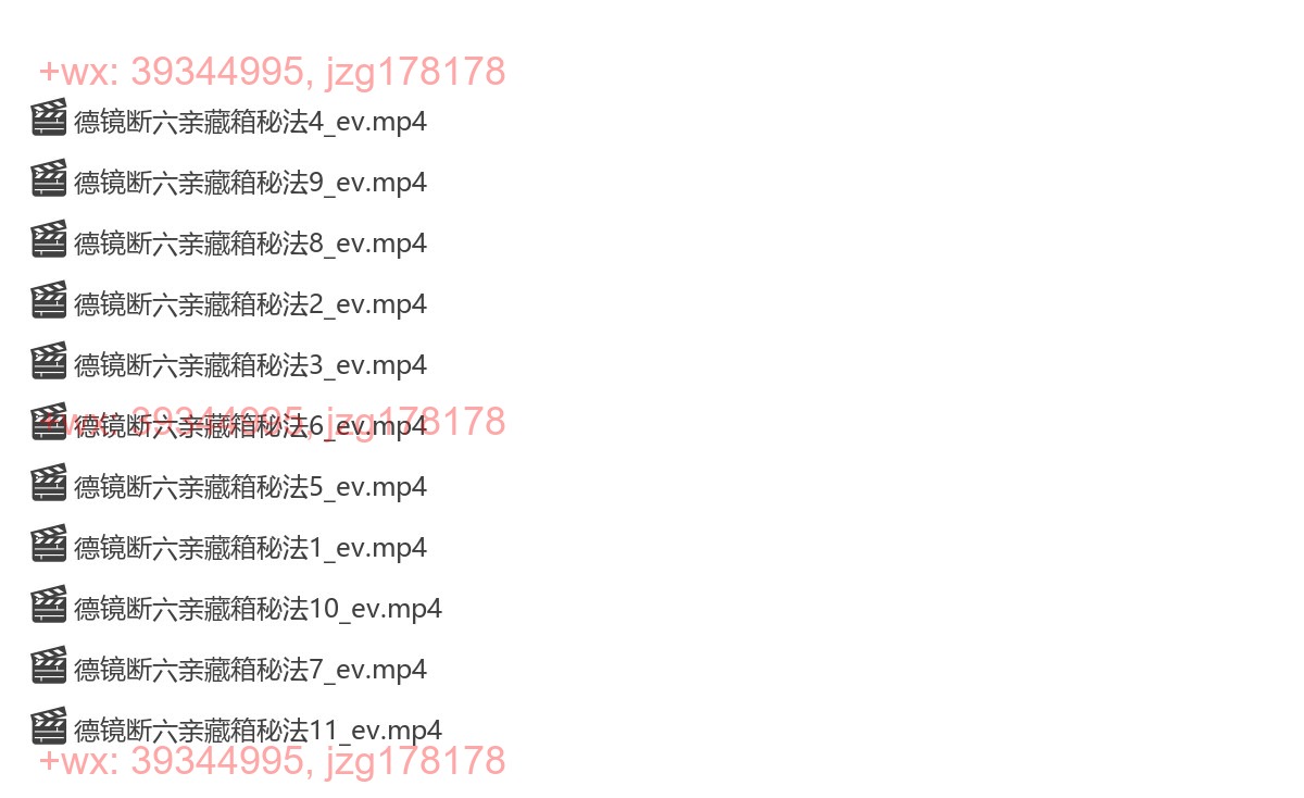 Y2304-105 夏光明弟子德镜老师断六亲藏箱秘法视频11集 screenshot