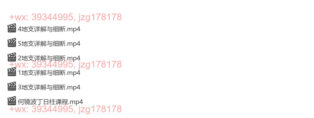 Y2304-101 夏光明弟子德镜老师《八字十二地支详解与细断》视频6集 screenshot