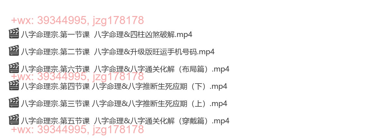 Y2303-33 拂尘子四柱八字命理6集 screenshot