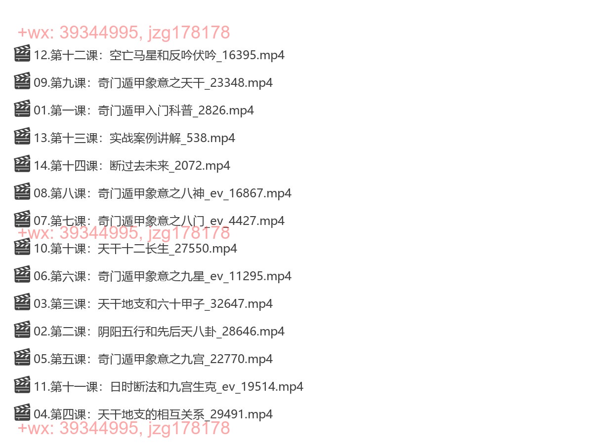 奇门遁甲初级课程视频14集 screenshot